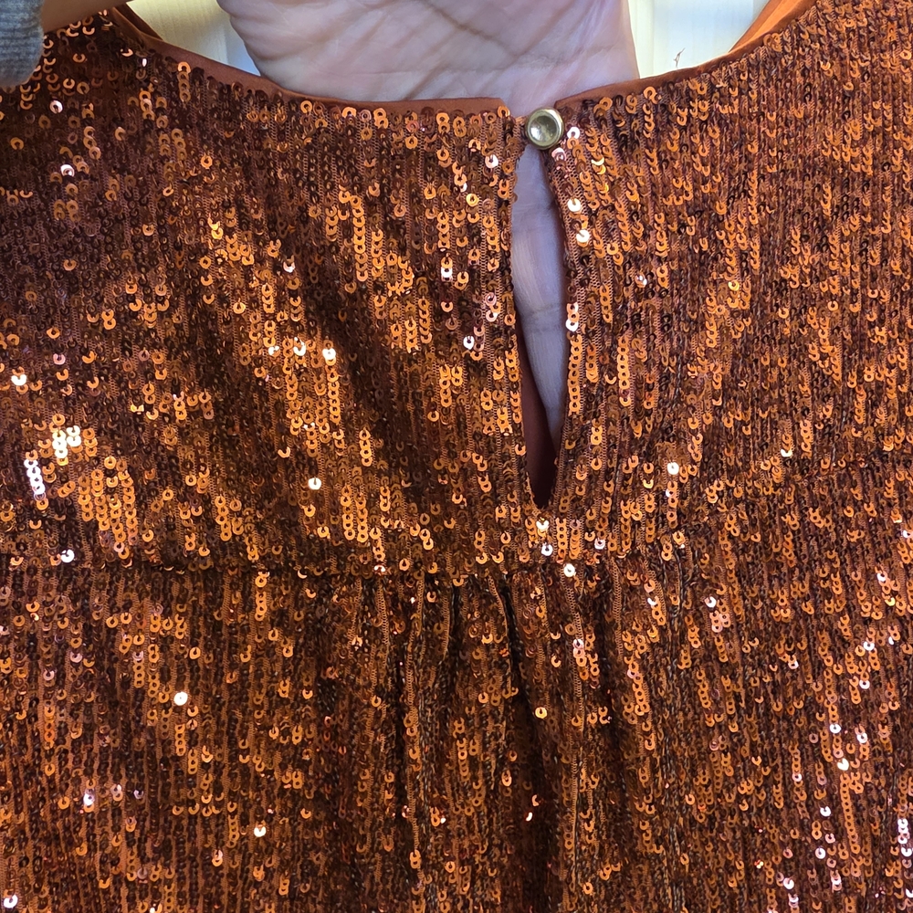Anthropologie Marie sequin puff-sleeve top Size 6 New Without Tags - Picture 9 of 11